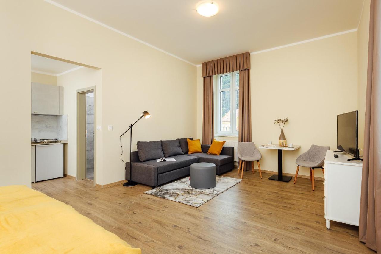 Apartmanovy Dom Grand - Contactless Check In Trenczyńskie Cieplice Zewnętrze zdjęcie
