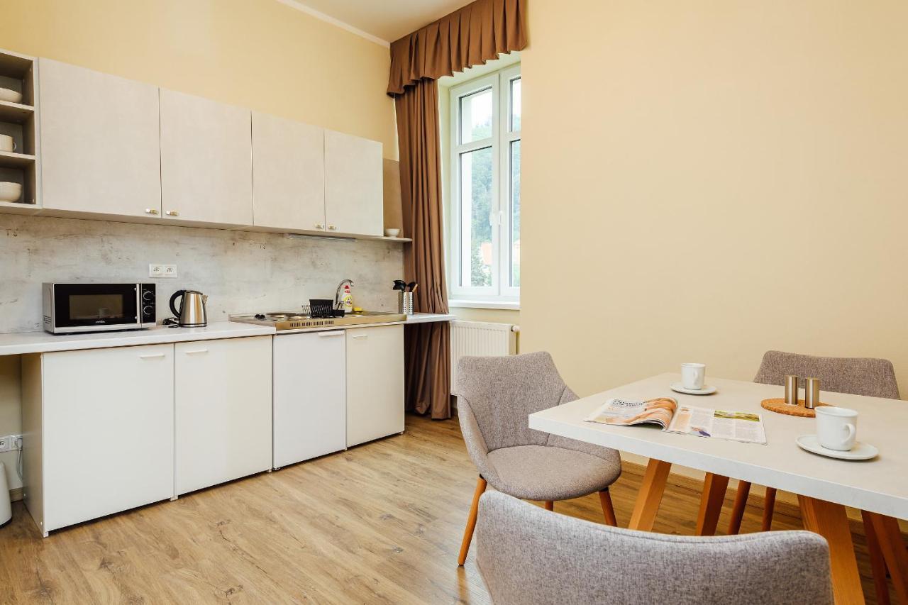 Apartmanovy Dom Grand - Contactless Check In Trenczyńskie Cieplice Zewnętrze zdjęcie